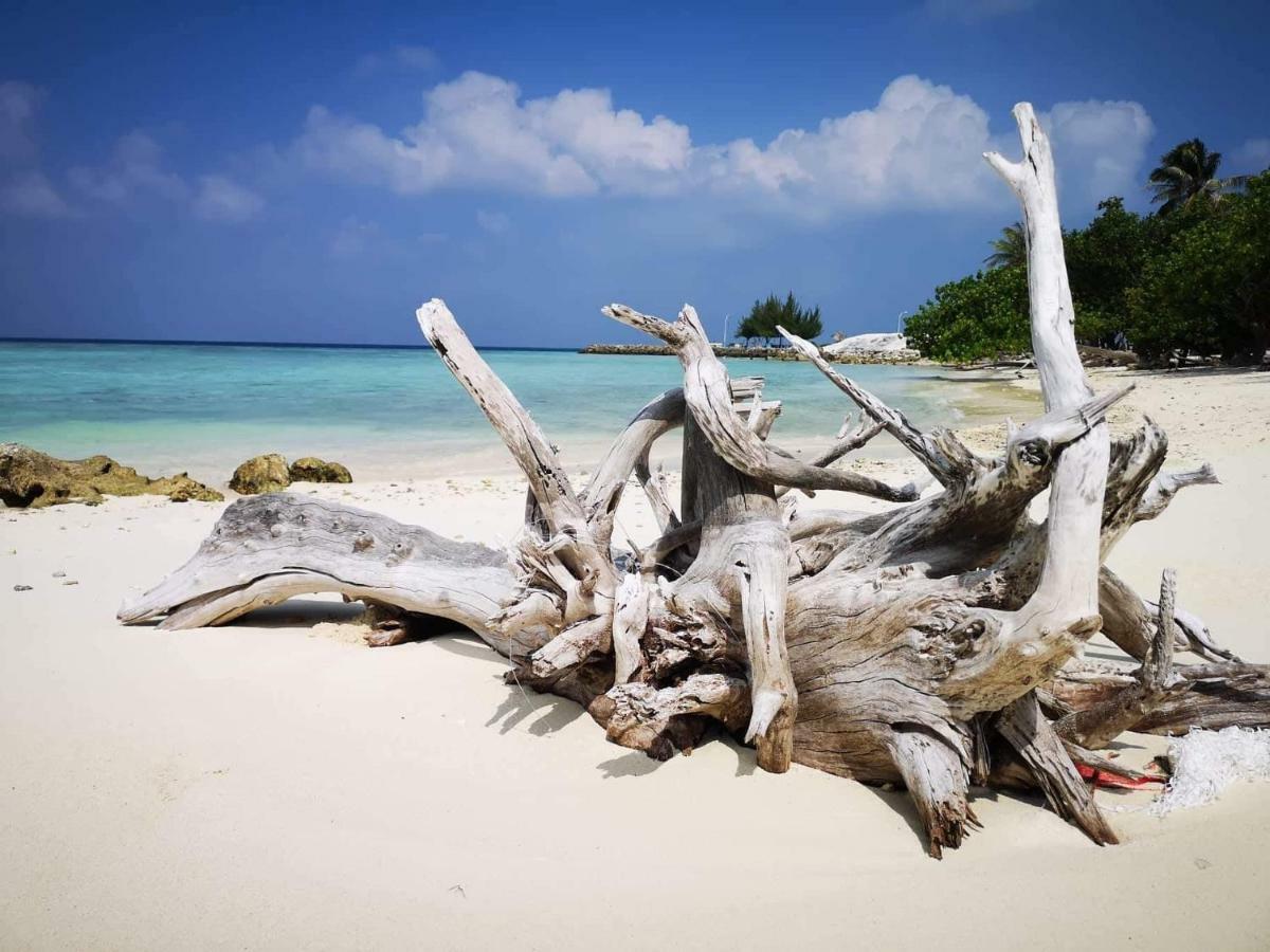 String Wave Maldives Hotel Гулхи Екстериор снимка